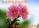 Published on 1/30/2014 ���ֹ�,��½�󷨵��ӹ�ףʦ���������(27��)
