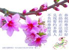 Published on 1/31/2014 ���ֹ�,��½�󷨵��ӹ�ףʦ���������(35��)
