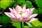 Published on 2/2/2014 ���ֹ�,��½�󷨵��ӹ�ףʦ���������(41��)
