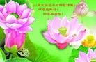 Published on 2/4/2014 ���ֹ�,��½�󷨵��ӹ�ףʦ���������(38��)
