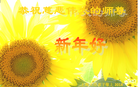 Published on 2/4/2014 ���ֹ�,��½�󷨵��ӹ�ףʦ���������(38��)
