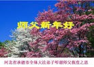 Published on 2/4/2014 ���ֹ�,��½�󷨵��ӹ�ףʦ���������(39��)
