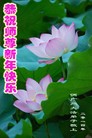 Published on 2/5/2014 ���ֹ�,��½�󷨵��ӹ�ףʦ���������(71��)

