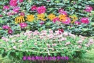 Published on 9/8/2014 ���ֹ�,��½�󷨵��ӹ�ףʦ�������(25��)
