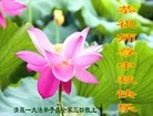 Published on 9/8/2014 ���ֹ�,��½�󷨵��ӹ�ףʦ�������(25��)
