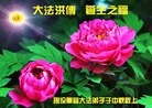 Published on 9/8/2014 ���ֹ�,��½�󷨵��ӹ�ףʦ�������(18��)
