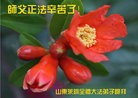 Published on 9/8/2014 ���ֹ�,��½�󷨵��ӹ�ףʦ�������(25��)
