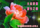 Published on 9/8/2014 ���ֹ�,���������˹�ףʦ�������(37��)
