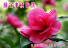 Published on 9/8/2014 ���ֹ�,��½�󷨵��ӹ�ףʦ�������(30��)
