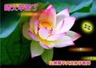 Published on 9/8/2014 ���ֹ�,��½�󷨵��ӹ�ףʦ�������(25��)
