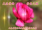 Published on 9/8/2014 ���ֹ�,��½�󷨵��ӹ�ףʦ�������(39��)
