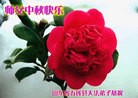 Published on 9/8/2014 ���ֹ�,��½�󷨵��ӹ�ףʦ�������(28��)
