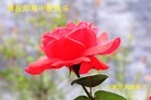 Published on 9/8/2014 ���ֹ�,��½�󷨵��ӹ�ףʦ�������(33��)
