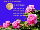 Published on 9/8/2014 ���ֹ�,��½�󷨵��ӹ�ףʦ�������(28��)
