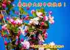 Published on 9/8/2014 ���ֹ�,���������˹�ף���־ʦ���������

