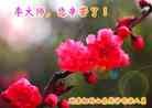 Published on 9/8/2014 ���ֹ�,���������˹�ף���־ʦ���������
