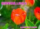 Published on 9/8/2014 ���ֹ�,��½�󷨵��ӹ�ףʦ�������(27��)
