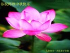 Published on 9/8/2014 ���ֹ�,��½�󷨵��ӹ�ףʦ�������(27��)
