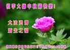 Published on 9/8/2014 ���ֹ�,���������˹�ף���־ʦ���������
