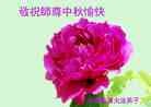 Published on 9/8/2014 ���ֹ�,��½�󷨵��ӹ�ףʦ�������(31��)
