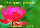 Published on 9/8/2014 ���ֹ�,���������˹�ף���־ʦ���������
