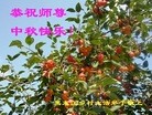 Published on 9/8/2014 ���ֹ�,���󷨵��ӹ�ףʦ�������(20��)
