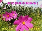 Published on 9/8/2014 ���ֹ�,���󷨵��ӹ�ףʦ�������(20��)
