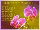 Published on 9/8/2014 ���ֹ�,��½�󷨵��ӹ�ףʦ�������(28��)
