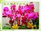 Published on 9/8/2014 ���ֹ�,��½�󷨵��ӹ�ףʦ�������(28��)
