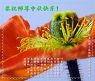 Published on 9/8/2014 ���ֹ�,��½�󷨵��ӹ�ףʦ�������(28��)
