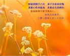 Published on 9/8/2014 ���ֹ�,��½�󷨵��ӹ�ףʦ�������(33��)
