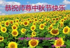 Published on 9/8/2014 ���ֹ�,���󷨵��ӹ�ףʦ�������(20��)
