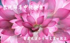 Published on 9/8/2014 ���ֹ�,��½�󷨵��ӹ�ףʦ�������(25��)
