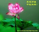 Published on 9/8/2014 ���ֹ�,�ӱ��󷨵��ӹ�ףʦ�������(21��)
