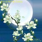 ���ֹ�,�����󷨵��ӹ�ףʦ�������(22��)
