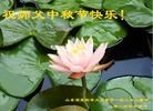 Published on 9/8/2014 ���ֹ�,��½�󷨵��ӹ�ףʦ�������(32��)
