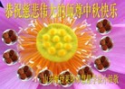 Published on 9/8/2014 ���ֹ�,��½�󷨵��ӹ�ףʦ�������(34��)
