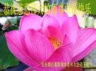 Published on 9/8/2014 ���ֹ�,��½�󷨵��ӹ�ףʦ�������(34��)
