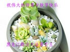 Published on 9/8/2014 ���ֹ�,��½�󷨵��ӹ�ףʦ�������(34��)
