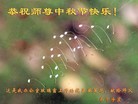 Published on 9/8/2014 ���ֹ�,��½�󷨵��ӹ�ףʦ�������(36��)
