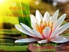 Published on 9/8/2014 ���ֹ�,��½�󷨵��ӹ�ףʦ�������(30��)
