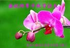 Published on 9/8/2014 ���ֹ�,��½�󷨵��ӹ�ףʦ�������(33��)
