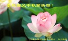Published on 9/8/2014 ���ֹ�,��½�󷨵��ӹ�ףʦ�������(33��)

