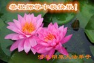 Published on 9/8/2014 ���ֹ�,��½�󷨵��ӹ�ףʦ�������(25��)
