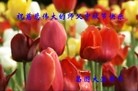 Published on 9/8/2014 ���ֹ�,��½�󷨵��ӹ�ףʦ�������(31��)
