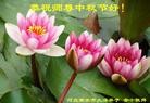 Published on 9/8/2014 ���ֹ�,��½�󷨵��ӹ�ףʦ�������(31��)
