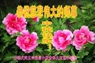 Published on 9/8/2014 ���ֹ�,��½�󷨵��ӹ�ףʦ�������(33��)
