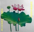 ���ֹ�,���ϴ󷨵��ӹ�ףʦ�������(28��)
