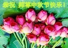 Published on 9/8/2014 ���ֹ�,��½�󷨵��ӹ�ףʦ�������(29��)
