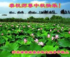 ���ֹ�,�żҿڴ󷨵��ӹ�ףʦ�������(27��)
